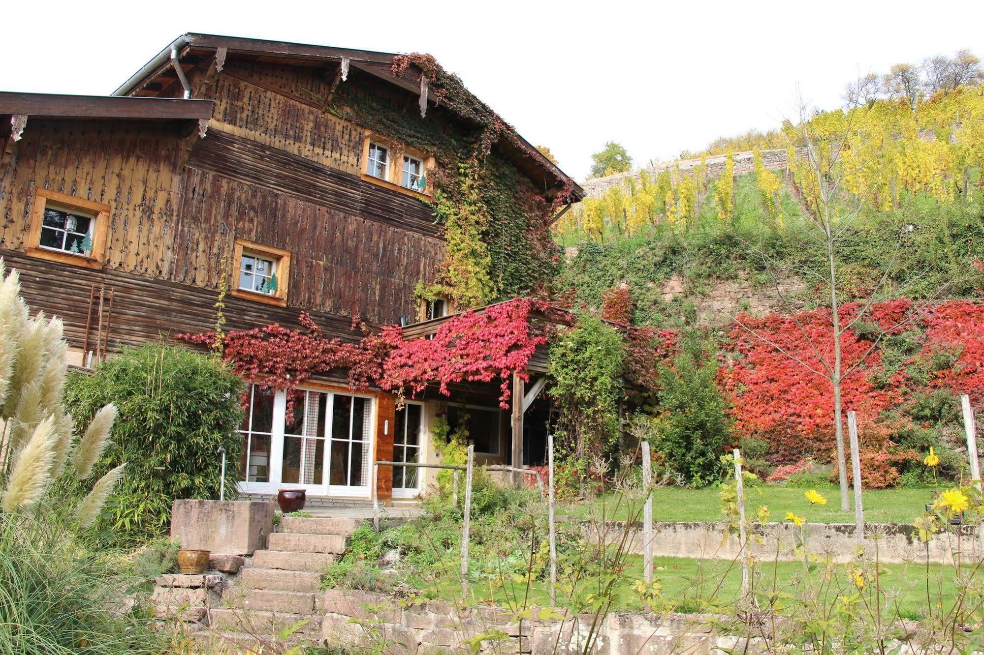 La Grange Du Couvent B&B Ribeauville  Exterior photo